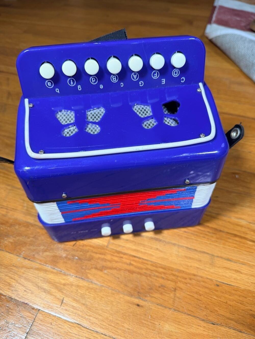 kids Accordion 10 Buttons Keys Accordion MIni Accordian Musical Instrument To